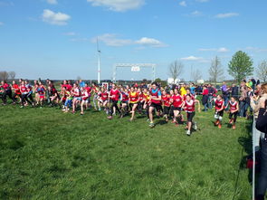 青少年运动员社会实践与志愿服务结合，弘扬体育精神，青少年体育运动指导与实践