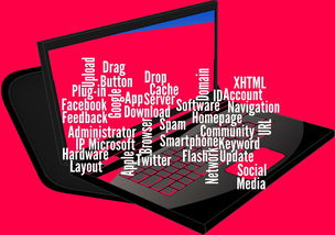 中国足球媒体对比赛的即时评价与舆论反馈机制，中国足球评论员